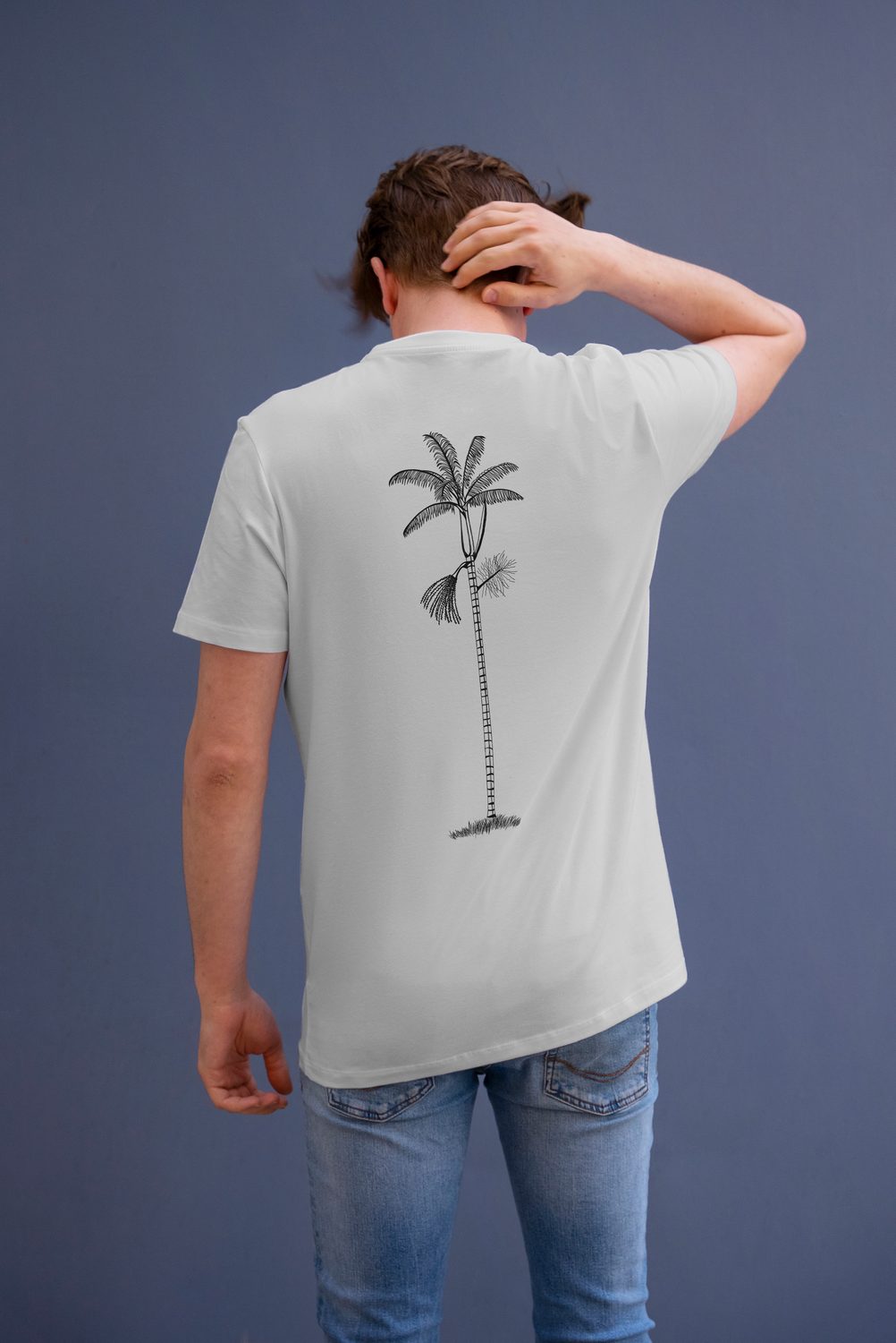Açaí · imagem 1