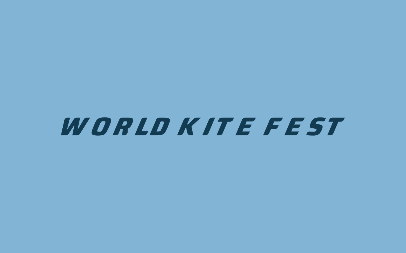 World Kite Fest · imagem 4