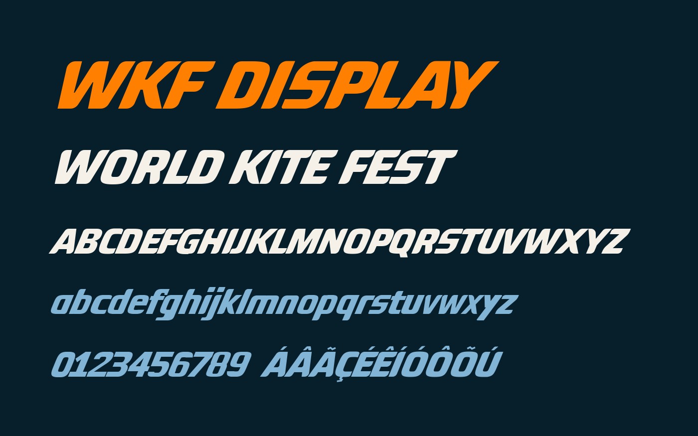 World Kite Fest · imagem 5